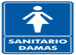SANITARIO DAMAS 20x25 CM.